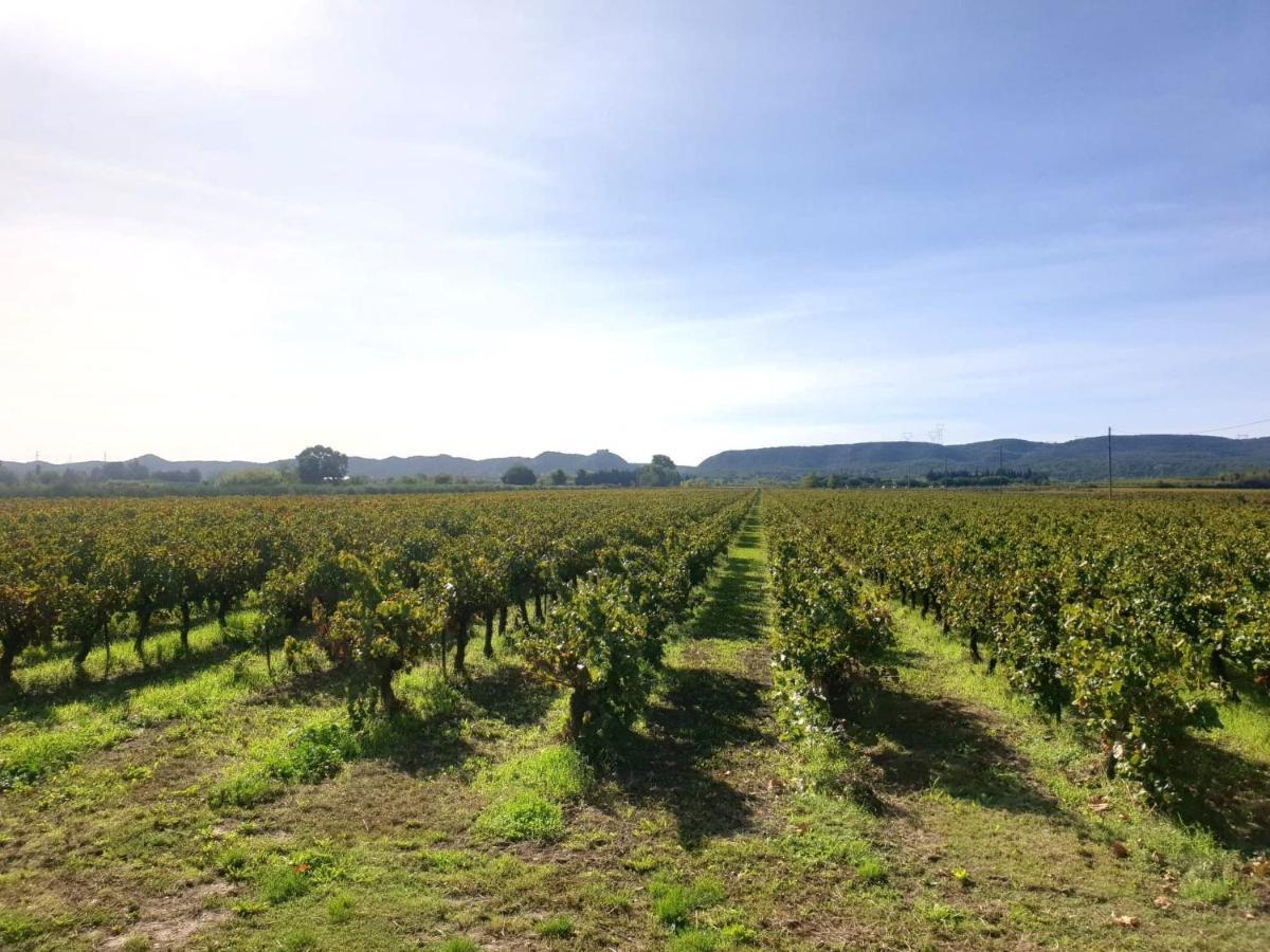 Domaine De Sevanes Saint-Paul-les-Fonts Exteriér fotografie