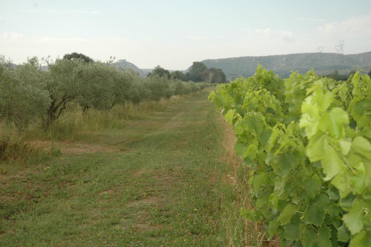 Domaine De Sevanes Saint-Paul-les-Fonts Exteriér fotografie